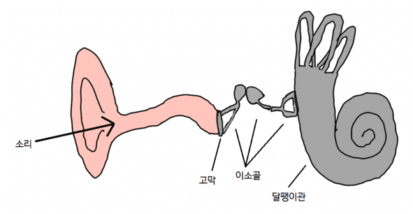 귀 그림, 청주보청기