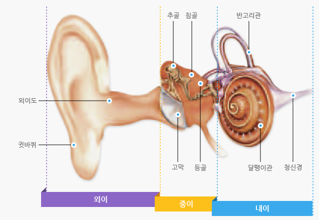 외이 중이 내이 구분, 청주보청기